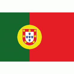 Vlaggen Portugal (1)