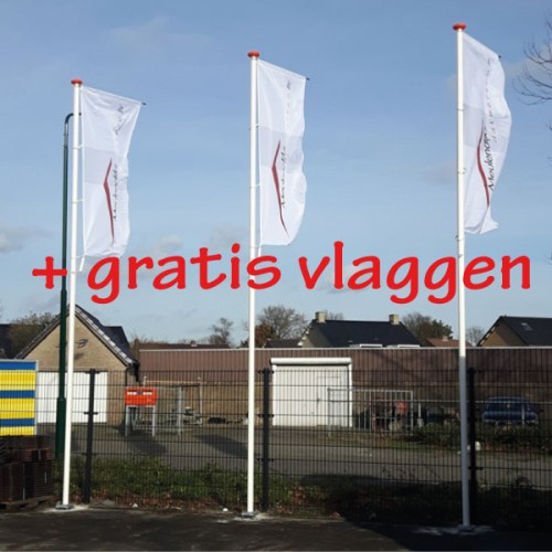 3 stuks vlaggenmasten met vlaggen