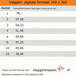 Baniervlaggen digitaal 300 x 100