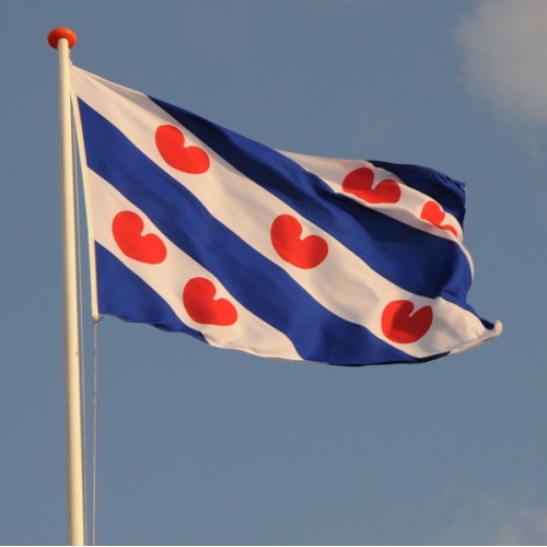 Provincie vlag Friesland Aanbieding